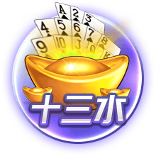成人播放器手机版