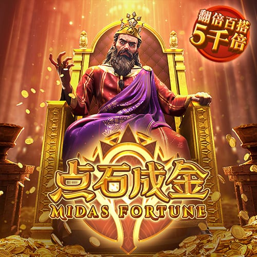 成人播放器桌面版